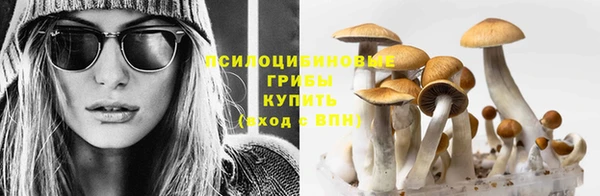 марки nbome Козловка