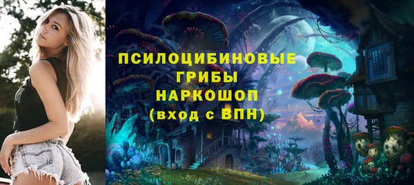круглые Кодинск