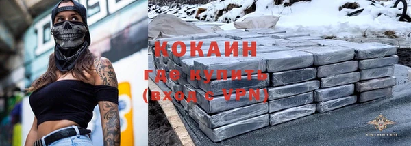 гашик Карпинск