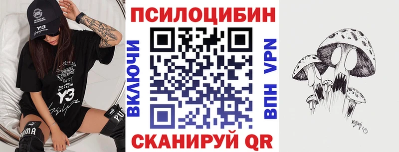 Галлюциногенные грибы Psilocybe Кумертау