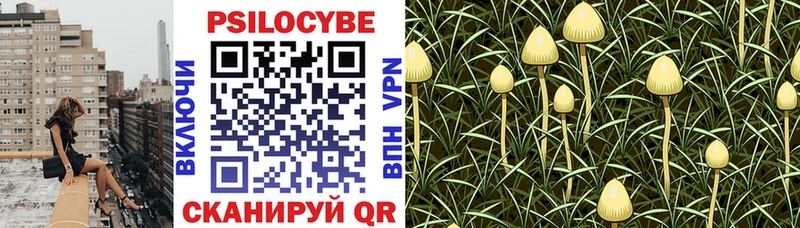 Псилоцибиновые грибы Cubensis  даркнет сайт  Кумертау 